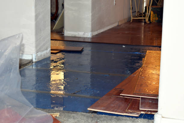 Professional Basement Flood Cleanup technician working in Lake City, MN